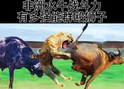 爱游戏体育在线入口-摩纳哥先失优势，后程奋力反击令人振奋