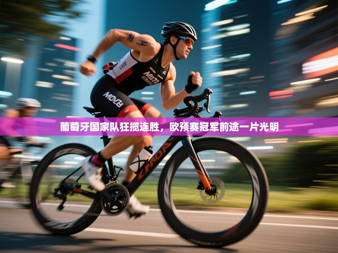 葡萄牙国家队狂揽连胜,欧预赛冠军前途一片光明 第2张