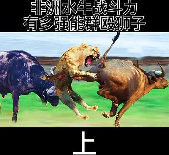 摩纳哥先失优势，后程奋力反击令人振奋