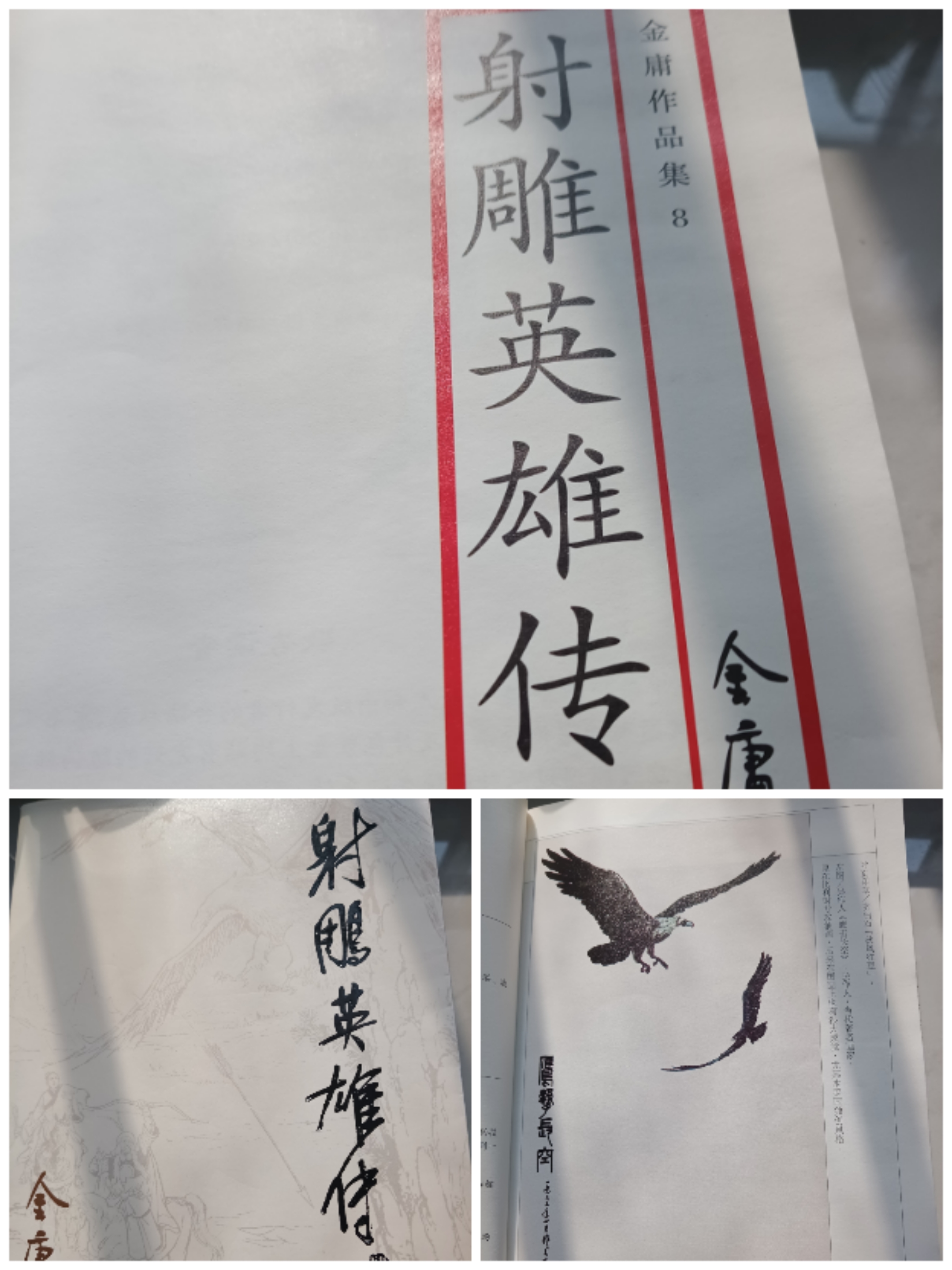 鹰击长空，足球王者雄姿英发